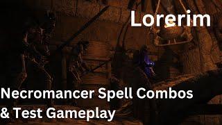 Lorerim (Skyrim) Necromancer Spell Combos / Test Build Showcase