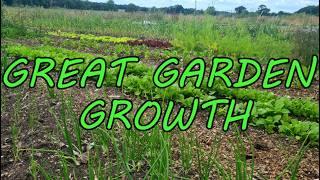 GROWTH SPURT - JULY TOUR | UK MARKET FARM