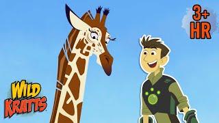 The Long Necks of Giraffes | Full Episodes | Wild Kratts