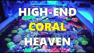 Largest HIGH-END Coral Collection in a Private Reef Aquarium 