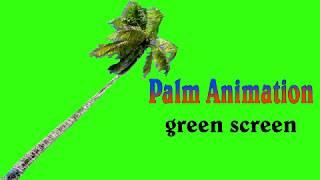 Palm Tree Animation Green Screen