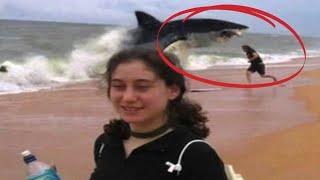 10 Shark Attacks You Won’t Believe