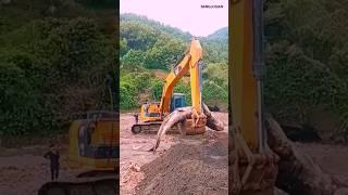 Lihat Operator Excavator Membawa Ikan Hiu Besar Dari Laut Menggunakan Excavator‼️