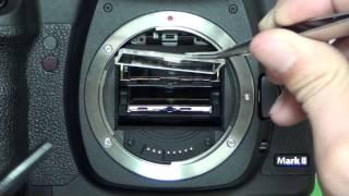 How to remove dust inside finder. (Canon 5DMarkⅡ)