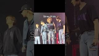 How do we explain this to non stays?  #skz #straykids #stays #kpop #kpopgroup #funnyshorts #shorts