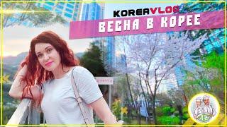 Весна в Корее/Русские продукты/KOREA VLOG