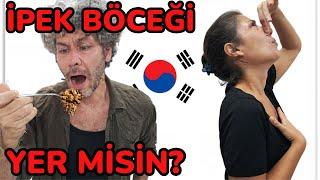 Güney Kore BUSAN Challenge: İpek Böceği Yer misin?