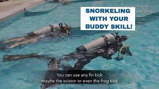 Snorkeling - PADI Open Water Diver Course • Scuba Diving Tips