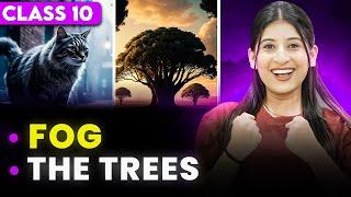 The Trees and Fog Explaination  Class 10 by Kriti Sharma