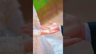 Как вам такое ? #свадьба #wedding #обручальныекольца #tiktok #shorts #тренды