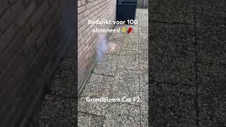 Grondbloem Categorie 2 vuurwerk - 100 ABONNEES!