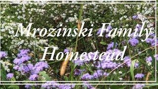 Mrozinski Family Homestead