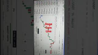 #Cryptofire $1000 HODL DOGE COIN on the way to 50 CENTS DOGECOIN #DOGE​ #BTC​ #CRYPTO​  LIVE #Short