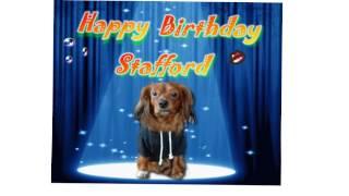 rocky sings happy birthday for stafford