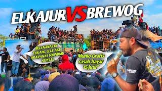 BREWOG vs ELKAJUR masbre tidak butuh 15 juta hanya ingin ELKAJUR bunyi