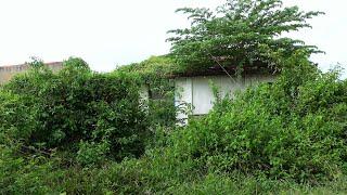 Renovating an Old House Abandoned for 50 Years, Buried and Overgrown with Grass