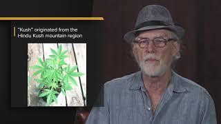 Mel Frank: Your Complete Guide to the Cannabis Plant / Ganjier Course Preview