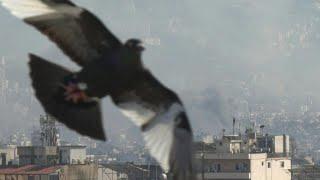 Smoke billows over Beirut's southern suburbs after Israeli strikes | AFP