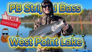 Christmas Eve #PB Striped Bass for Oliver on West Point Lake #fishing #stripedbass #striper #catfish