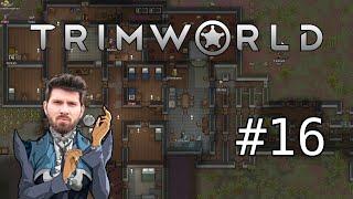 (T)RimWorld #16 mit Matteo