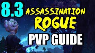 FINAL BFA Assassination Rogue PvP Guide! 8.3