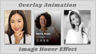 Image Overlay Hover Effect with CSS  Flexbox | CSS Image Hover Effect