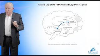 Dopamine Neurotransmitter Network