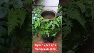 Лайфхак: новый способ посадки, не "в",  а "на" емкость. #квіти #цветы #gardenflower #shorts #plant