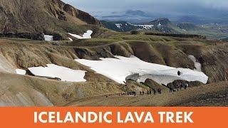 Icelandic Lava Trek