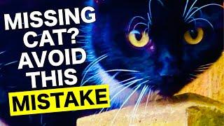 MISSING CAT SEARCH Avoid This Mistake