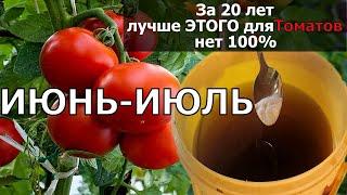 Всего 1гр в Июне Томаты Вмиг Заплодоносят, Фитофторы у помидор Не Будет Никогда Подкормите в Июне!