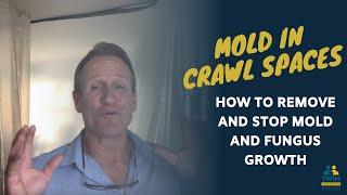 How To Remove And STOP Mold & Fungus From Growing In A Crawl Space