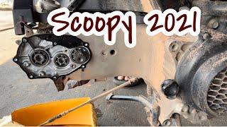 Honda Scoopy 2021/ How to change Bearing / V Moto