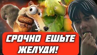 ЕШЬТЕ ЖЕЛУДИ, ЕСЛИ ХОТИТЕ ЖИТЬ! Наш опыт сбора и приготовления желудей.