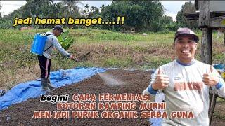 PART 1 CARA FERMENTASI KOTORAN KAMBING MENJADI PUPUK ORGANIK  SERBA GUNA | untuk pepaya kalifornia