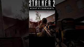 МАСТЕР СТЕЛСА МАКРИДИ СТАЛКЕР 2 #макриди #сталкер2 #gaming