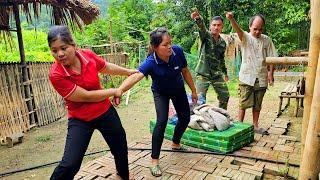 The government steps in: Can Duong and Sua keep their bamboo house and be happy?