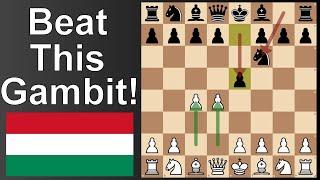 Budapest Gambit, but how to beat it in chess!