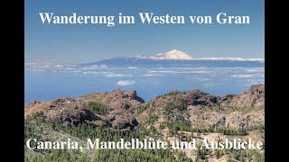 Wandern im Westen von Gran Canaria: Ein Paradies zwischen El Toscon und El Carizal