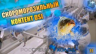 Плиточный скороморозильный аппарат DSI