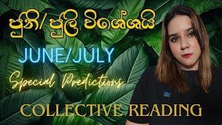 ජුනි, ජුලි විශේශ සිදුවීම June/July Collective Tarot Reading Sinhala