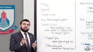 Class 9 - Biology - Chapter 9 - Lecture 6 Transport in Human - Allied Schools