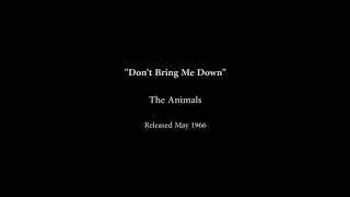Don't bring me down - the animals