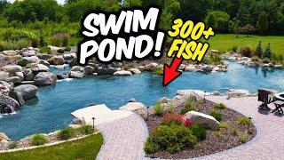 300 Fish in this SWIM POND