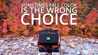 Not Every Photo Needs Perfect Fall Color | Zion Fall Photography - Episode 4