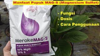 Manfaat Pupuk Meroke MAG-S / Magnesium Sulfat Untuk Tanaman | Agar Tanaman Subur, Sehat dan Kuat