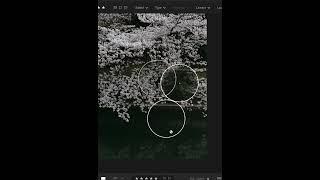 Using the Lightroom Healing Brush #shorts