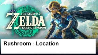 The Legend of Zelda Tears of the Kingdom - Rushroom - Location