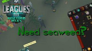 Learn/Unlock Giant seaweed (Leagues3 - Shattered Relics)