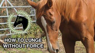 How to lunge a horse without force | Clicker training